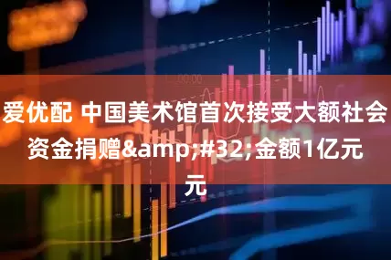 爱优配 中国美术馆首次接受大额社会资金捐赠&#32;金额1亿元